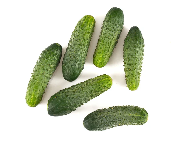 Cucumbers Isolated White — Stock Photo, Image