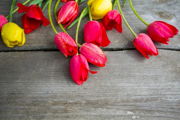 Tulipes Colorées Sur Surface Bois — Photo