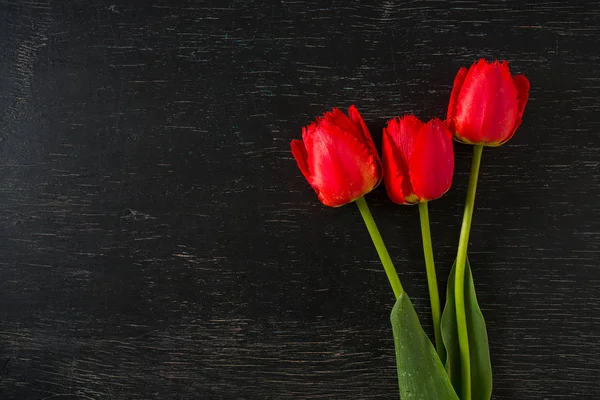 Red Tulips Dark Wooden Surface — Stock Photo, Image