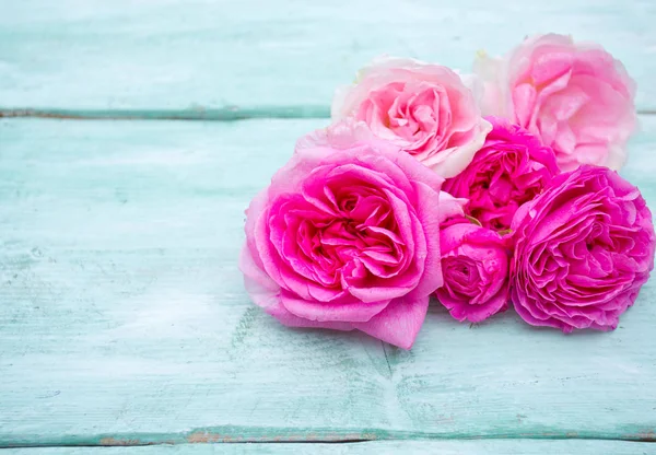 Krásné Zahradní Růže Tyrkysovém Dřevěném Povrchu — Stock fotografie