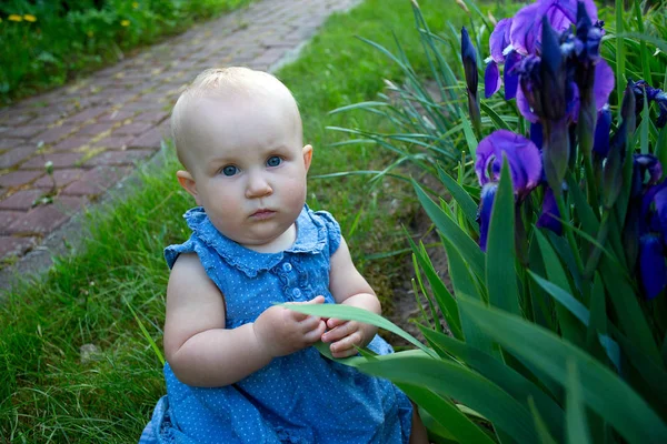 Cute Baby Girl Iris Flowers Growing — Stock Photo, Image