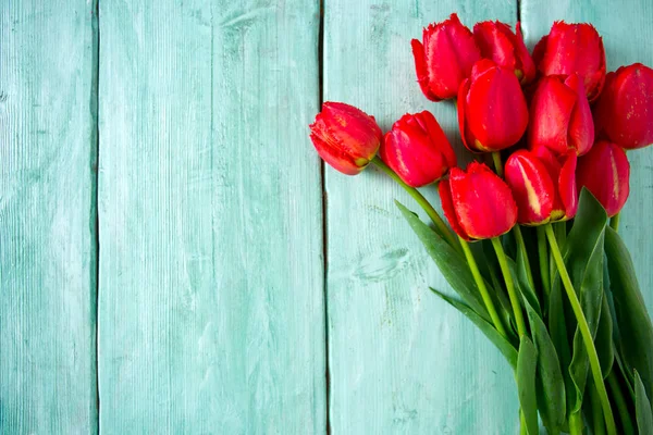 Red Tulips Turquoise Background — Stock Photo, Image