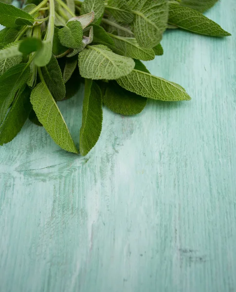 Salvia Sobre Superficie Madera Turquesa —  Fotos de Stock