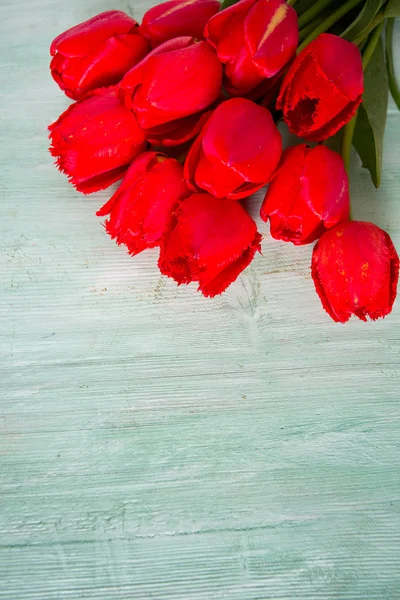 Rode Tulpen Turkooizen Achtergrond — Stockfoto