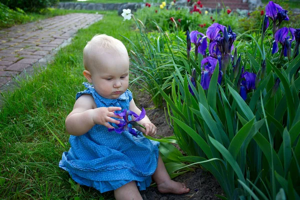 Мила Дівчинка Квіти Ірису Ростуть — стокове фото