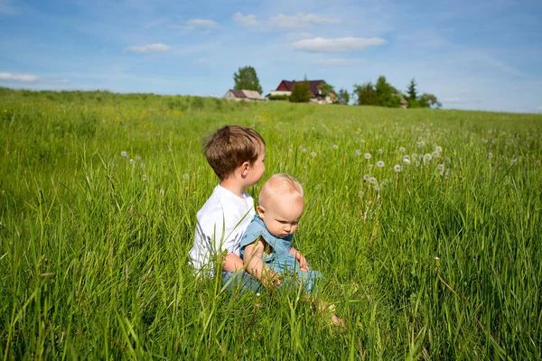 Bruder Und Schwester Auf Sommerfeld — Stockfoto