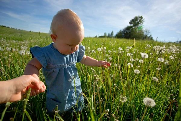 Niedliches Kleines Mädchen Auf Einem Sommerfeld — Stockfoto