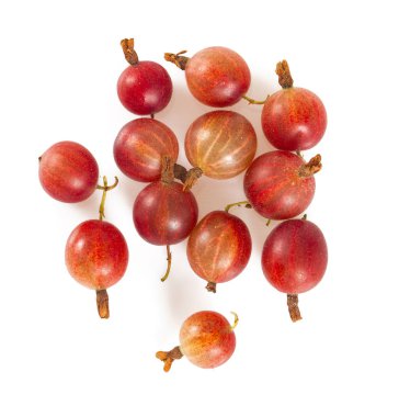 Beyaz arkaplanda kırmızı bektaşi üzümü izole edilmiş
