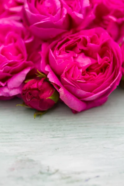 Красивые Розы Сада Бирюзовой Деревянной Поверхности — стоковое фото