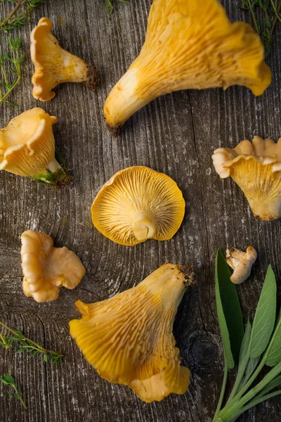 Cantharellus Cibarius Mantar Ahşap Yüzey Üzerinde — Stok fotoğraf