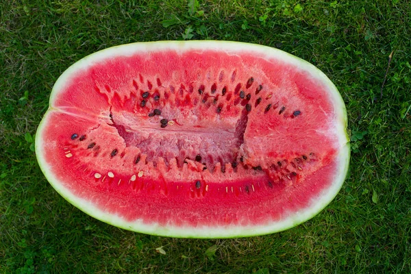 half of water melon on green garden grass