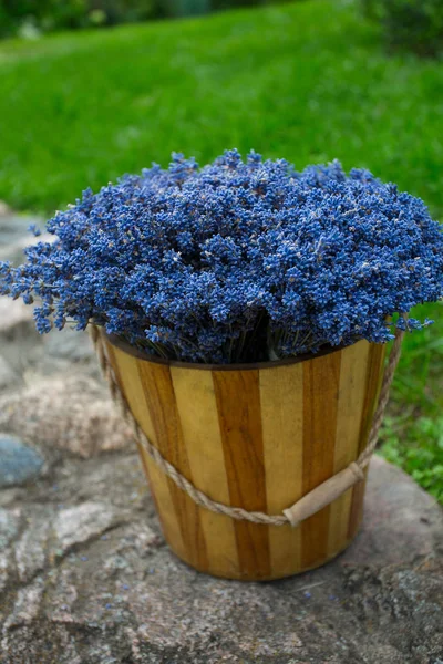 dried lavender flowers in a bucket