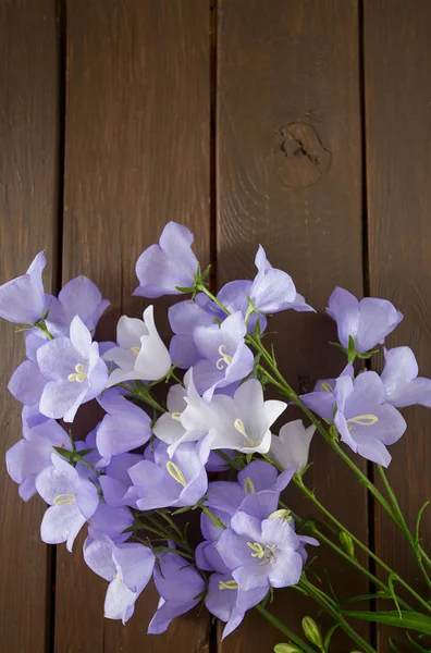 Μπλε Λουλούδια Καμπάνα Στην Ξύλινη Επιφάνεια — Φωτογραφία Αρχείου
