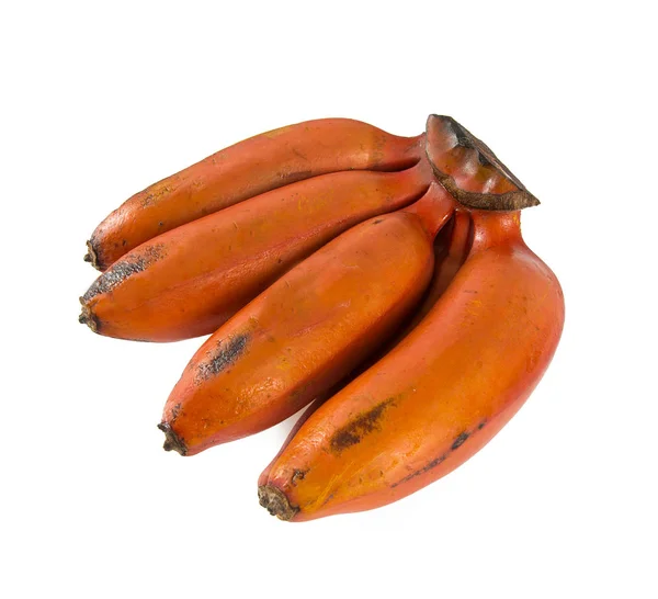 Banana Vermelha Sobre Branco — Fotografia de Stock