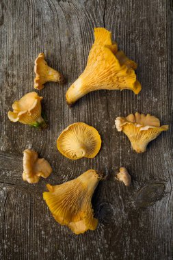 Cantharellus cibarius mantar ahşap yüzey üzerinde