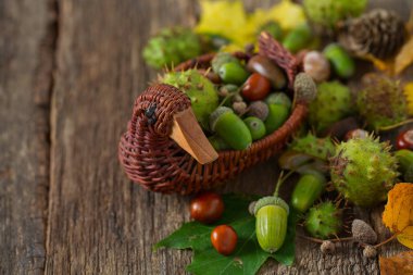 Ahşap kırsal masada meşe palamudu ve kestane