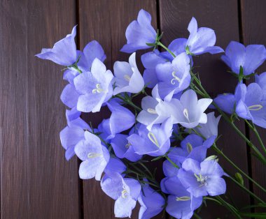 Ahşap yüzeyde mavi çan çiçekleri