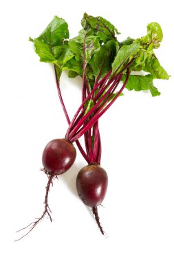 Pancar kökü beyaza izole edilmiş