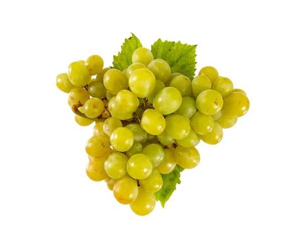 白色背景的葡萄束 — 图库照片