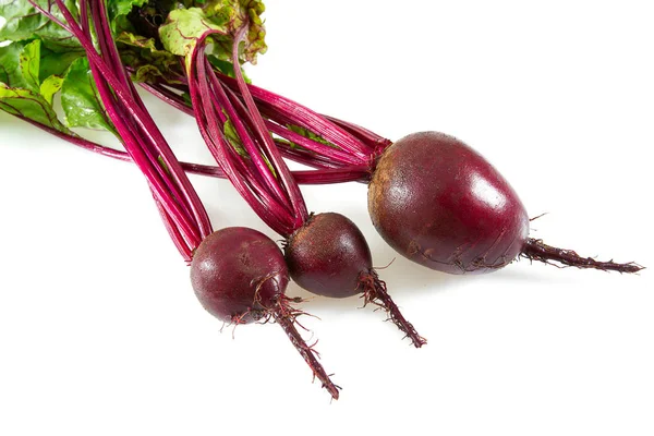 Beetroot Isolated White — Stock Photo, Image