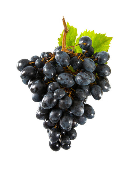 Голубой виноград изолирован на белом
