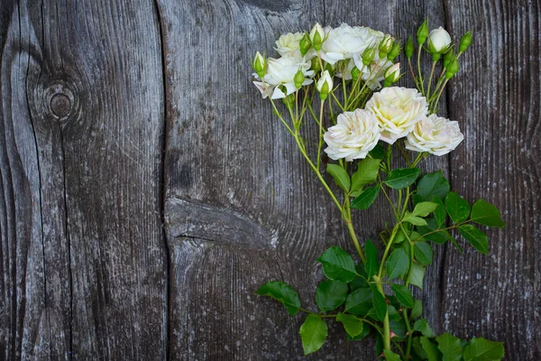 Hermosas Rosas Blancas Superficie Madera — Foto de Stock
