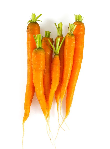 Zanahorias Frescas Sobre Fondo Blanco — Foto de Stock