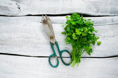 demet maydanoz ahşap yüzey üzerinde