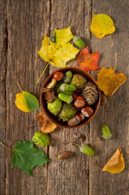 Ahşap kırsal masada meşe palamudu ve kestane