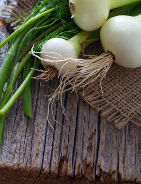 taze soğan ve sarımsak ahşap yüzey üzerinde