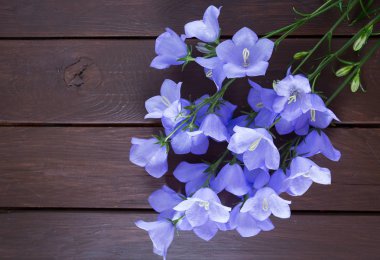 Ahşap yüzeyde mavi çan çiçekleri