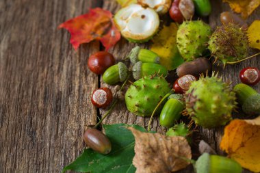 Ahşap kırsal masada meşe palamudu ve kestane
