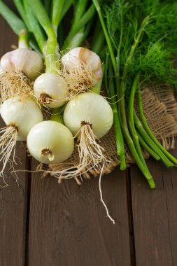 taze soğan ve sarımsak ahşap yüzey üzerinde