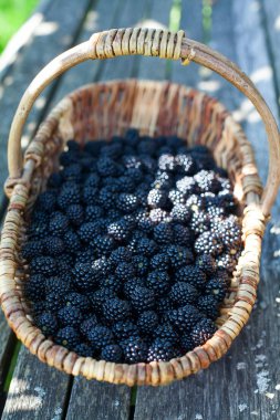 böğürtlen sepeti ahşap yüzey üzerinde