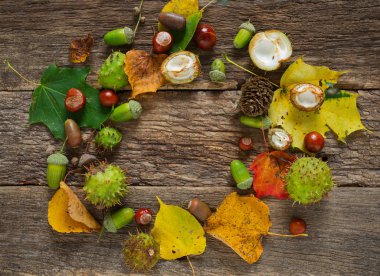 Ahşap kırsal masada meşe palamudu ve kestane