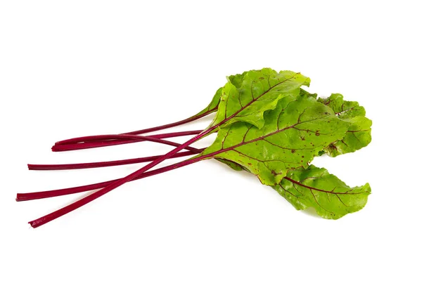 Beetroot Leafs Isoalted White — Stock Photo, Image
