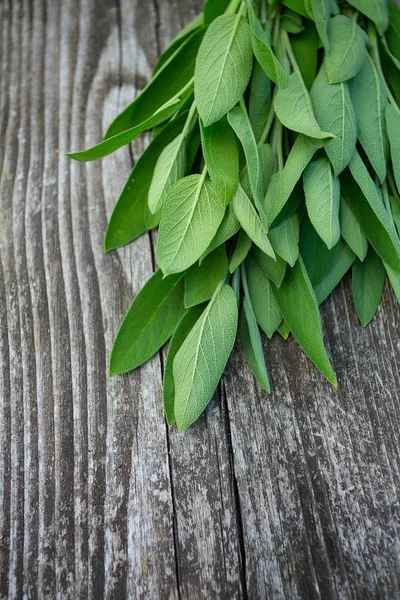 Salvia Superficie Madera —  Fotos de Stock