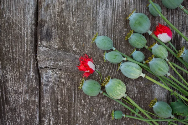 Makové Hlavy Dřevěném Povrchu — Stock fotografie