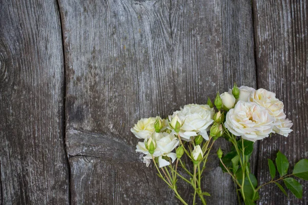 Belas Rosas Brancas Suaves Superfície Madeira — Fotografia de Stock