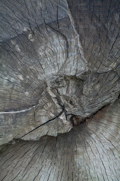 Stare Drewno Przekrój Ściany Tło Zbliżenie — Zdjęcie stockowe