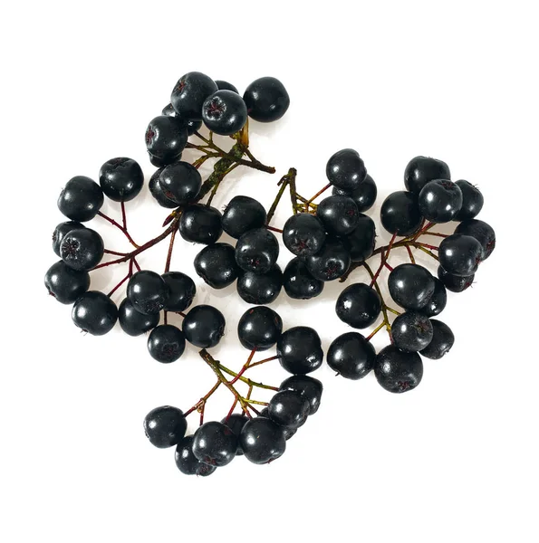 Siyah Chokeberries Beyaz Arka Plan Üzerinde Izole — Stok fotoğraf