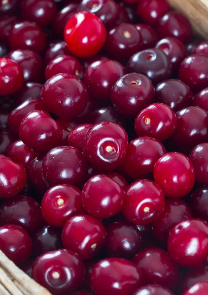 Sour Cherry Wall Background Close — Stock Photo, Image