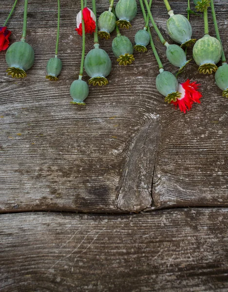 Cabezas Amapola Superficie Madera — Foto de Stock