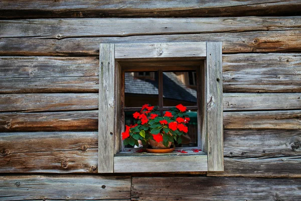 Vieja Ventana Flores Fondo Pared Cerca — Foto de Stock