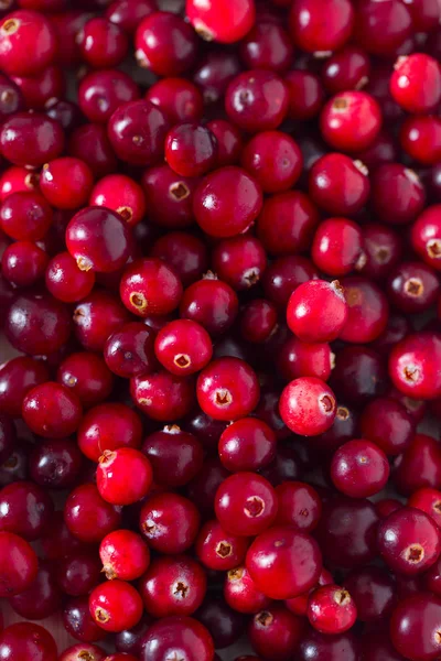 Full Frame View Ripe Fresh Cranberries Background — Stock Photo, Image
