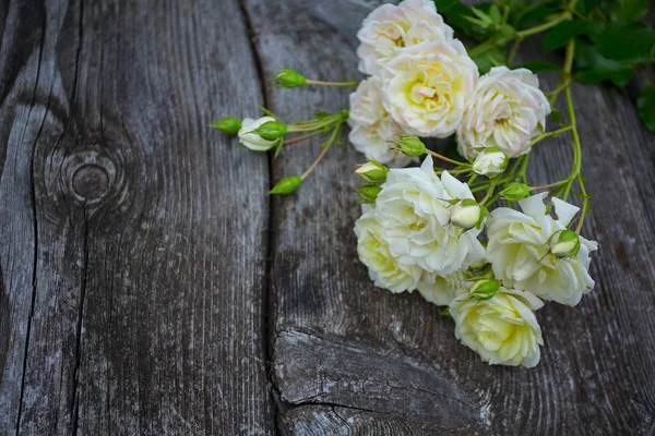 Beautiful Gentle White Roses Wooden Surface — Stock Photo, Image