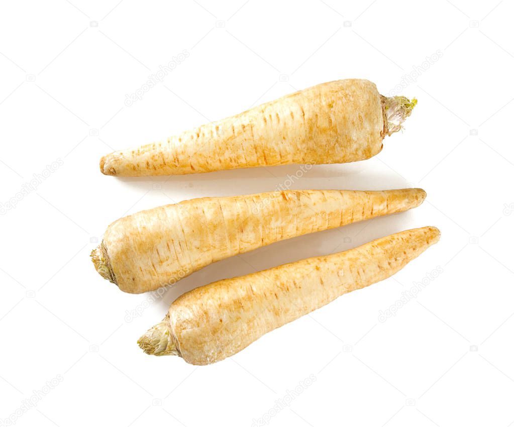 three parsnips isolated on white background