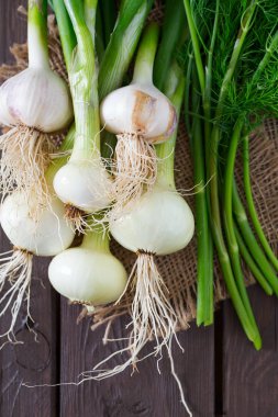 taze soğan ve sarımsak ahşap yüzey üzerinde