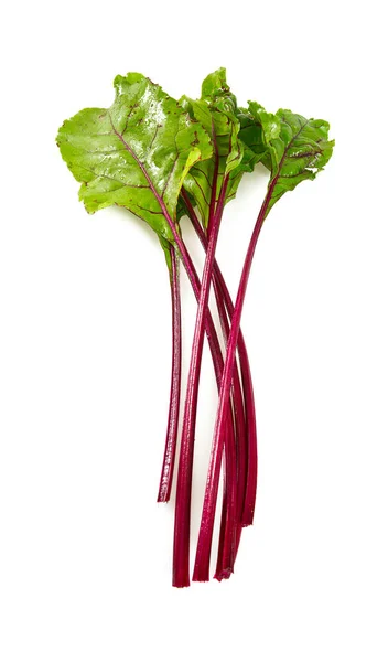 Beetroot Leafs Isoalted White — Stock Photo, Image