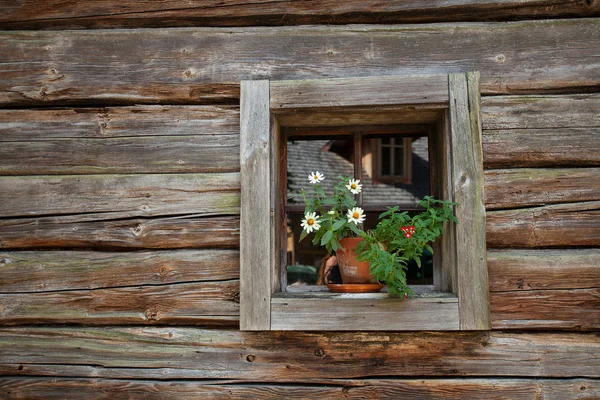 古い窓と花の壁背景をクローズ アップ — ストック写真